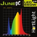 HORTILIGHT - LED JUNE DC 6 BARRAS (660W)