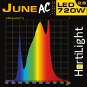 HORTILIGHT - LED JUNE AC 6 BARRAS (720W)