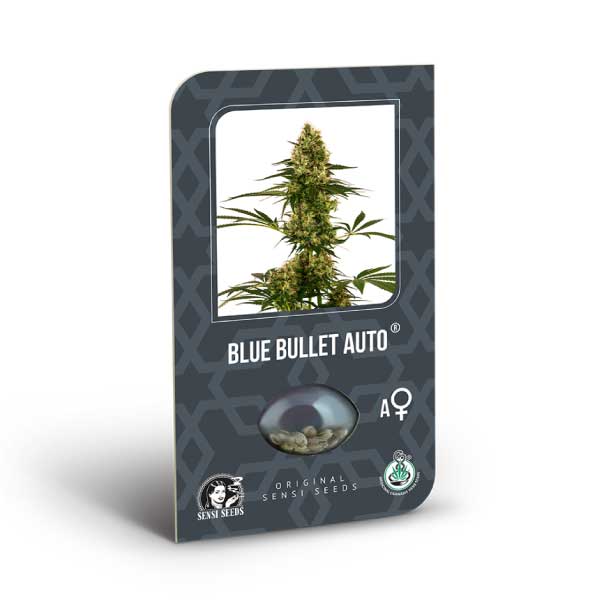 SENSI SEEDS - BLUE BULLET AUTO X3