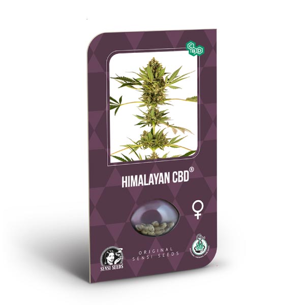 SENSI SEEDS - HIMALAYAN FEM CBD X3