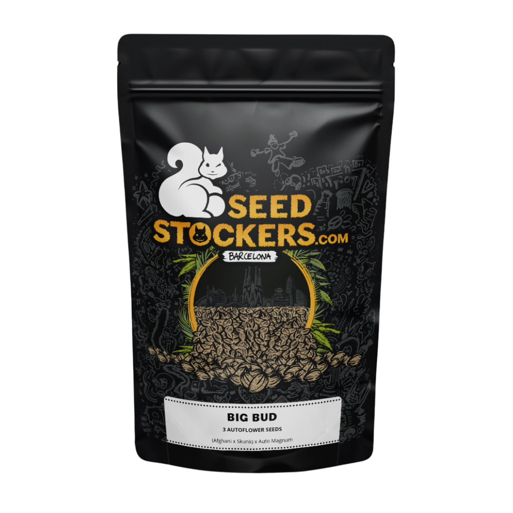 SEED STOCKERS - BIG BUD AUTO X3