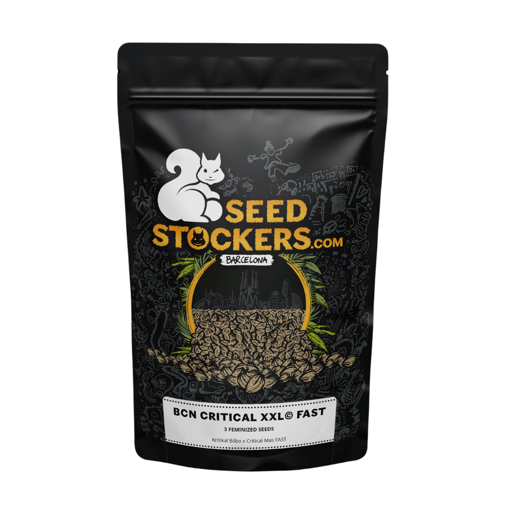 SEED STOCKERS - BCN CRITICAL XXL FAST FEM X3