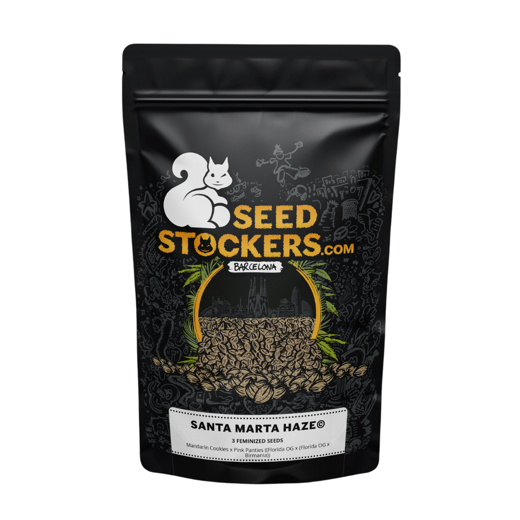 SEED STOCKERS - SANTA MARTA HAZE FEM X3