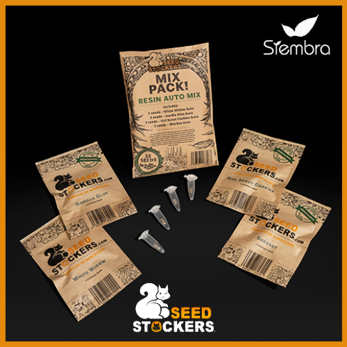 SEED STOCKERS - RESIN AUTO MIX X12