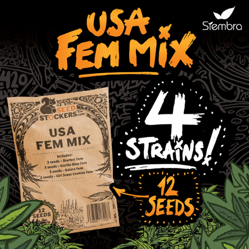 SEED STOCKERS - USA FEM MIX X12