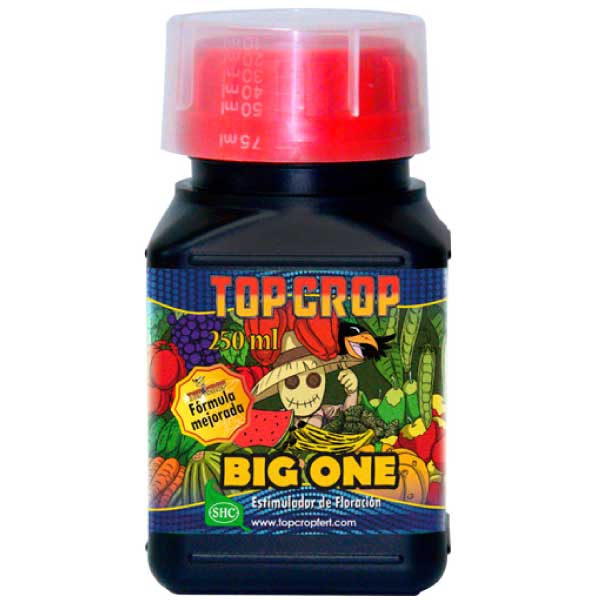 TOP CROP - BIG ONE 250ML