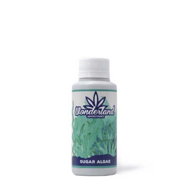 WONDERLAND NUTRIENTS - SUGAR ALGAE PLUS 120ML