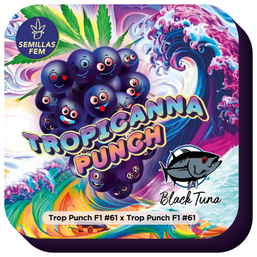 BLACK TUNA - TROPICANA PUNCH #61 FEM X5