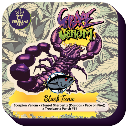 BLACK TUNA - GRAPE VENOM FEM X5