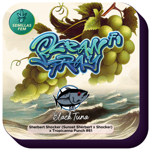 BLACK TUNA - OCEAN SPRAY FEM X5