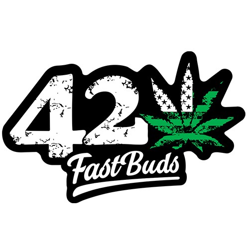 FAST BUDS  - MEXICAN AIRLINES X3+2