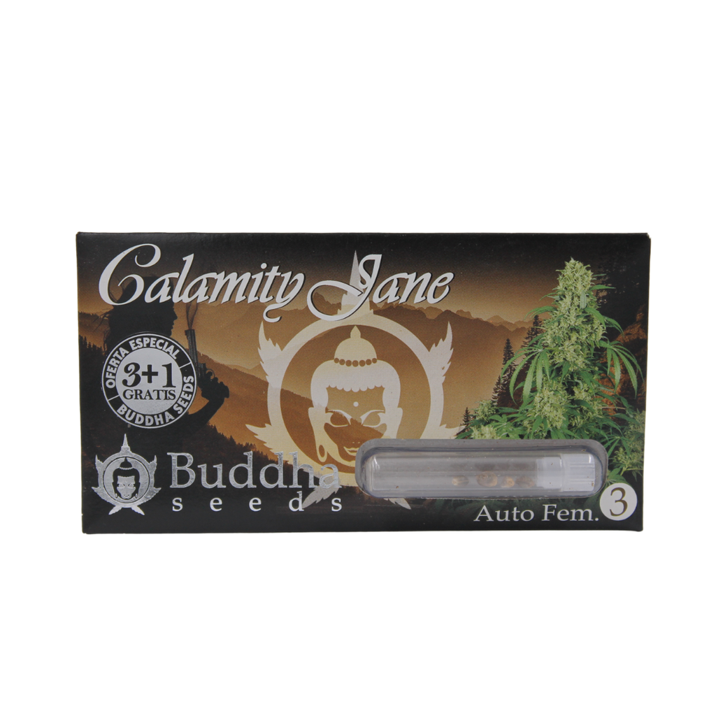 BUDDHA SEEDS - BUDDHA CALAMITY JANE AUTO 3+1