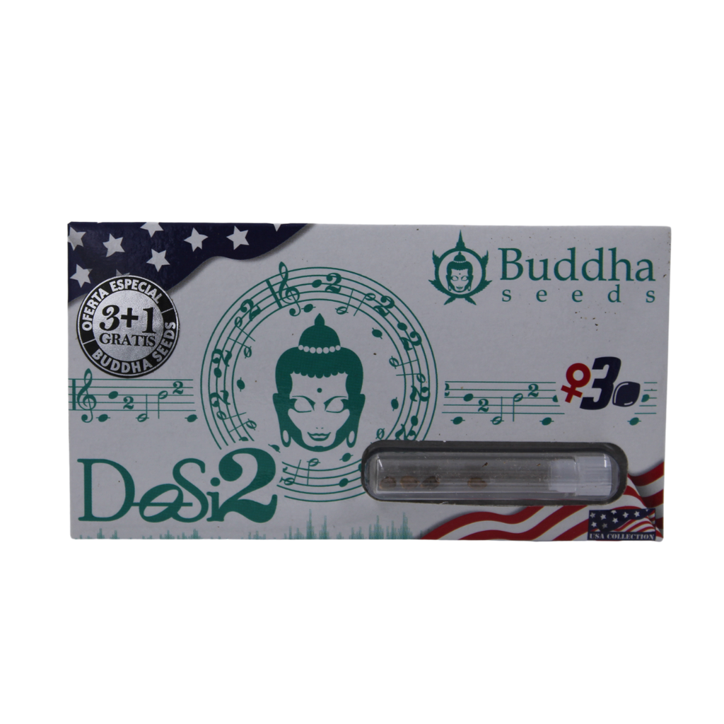 BUDDHA SEEDS - BUDDHA DOSI2 USA FEM 3+1