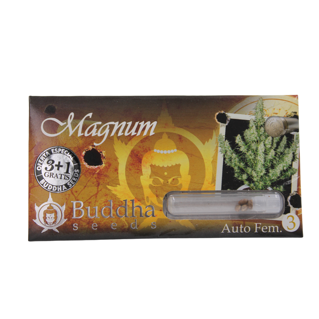 BUDDHA SEEDS - BUDDHA MAGNUM AUTO 3+1