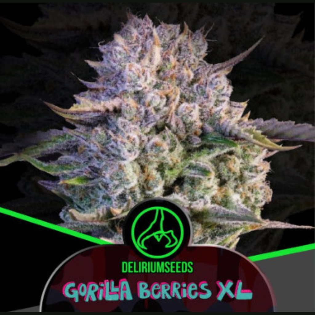 DELIRIUM SEEDS - GORILLA BERRIES AUTO XL X4