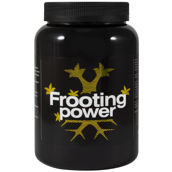 BAC -  FROOTING POWER 1KG