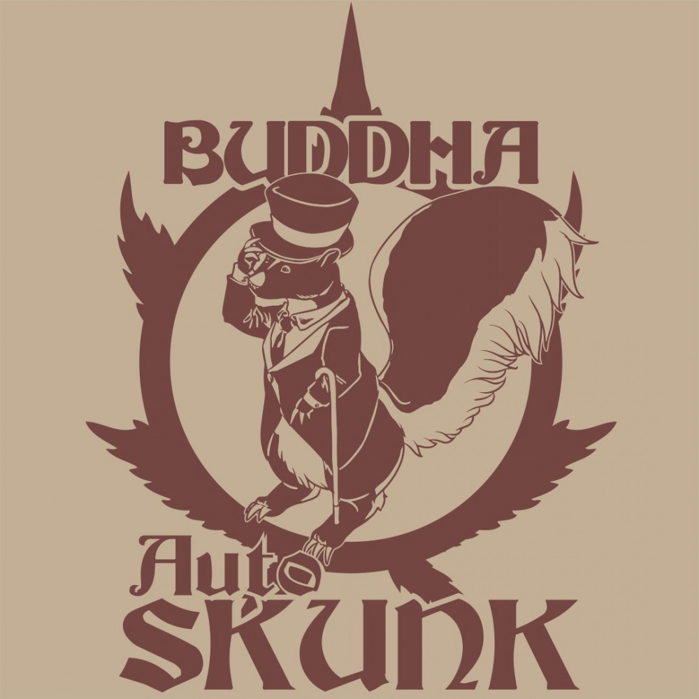 BUDDHA SEEDS - BUDDHA AUTO SKUNK CLASSICS X3