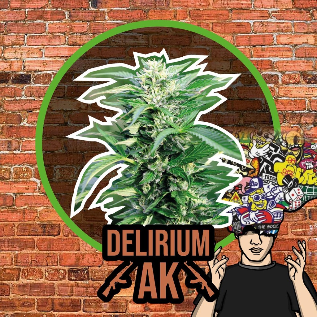 DELIRIUM SEEDS  - DELIRIUM AK AUTO X4