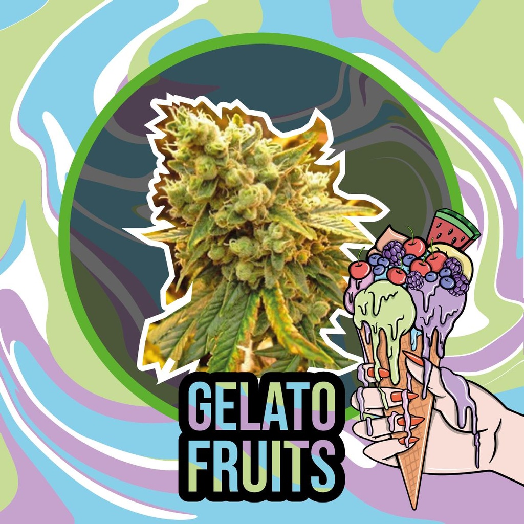 DELIRIUM SEEDS  - GELATO FRUITS AUTO X4