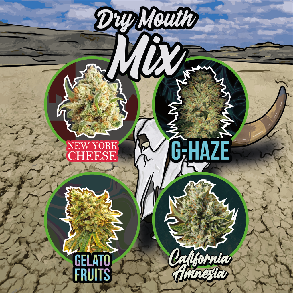 DELIRIUM SEEDS  - MIX DRY MOUTH AUTO X14