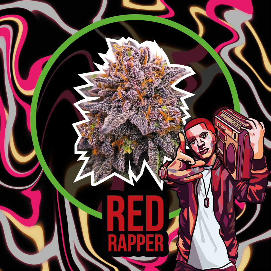 DELIRIUM SEEDS  - RED RAPPER AUTO X4