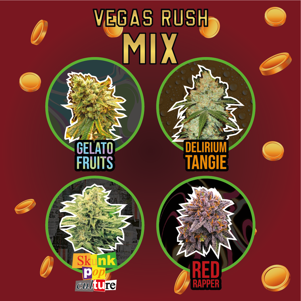 DELIRIUM SEEDS  - MIX VEGAS RUSH FEM X14