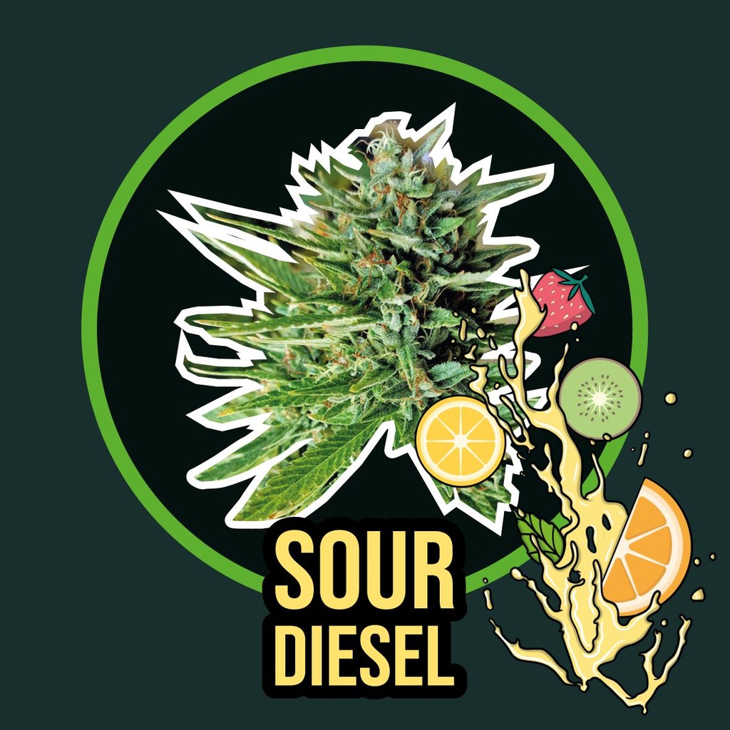 DELIRIUM SEEDS  - SOUR DIESEL FAST VERSION X4