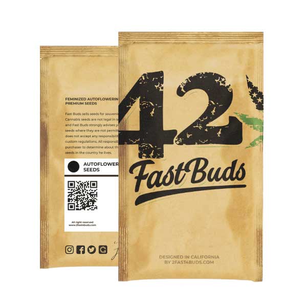 FAST BUDS  - ORIGINAL AUTO CRITICAL X1