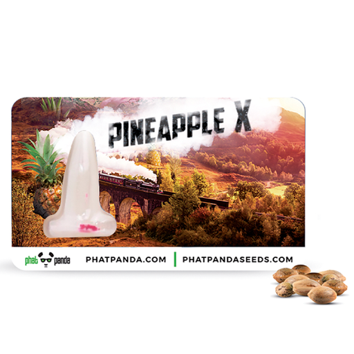 [PHP003] PHAT PANDA - PINEAPPLE FEM X3