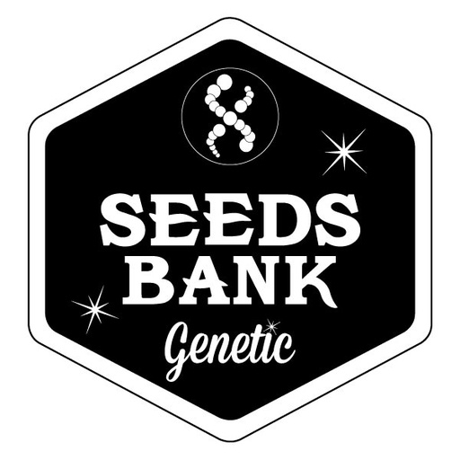 [SDB001] SEEDS BANK - AUTO SKUNK X3