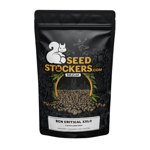 [SST001] SEED STOCKERS - BCN CRITICAL XXL AUTO X3