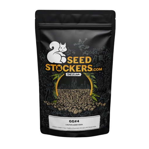 [SST020] SEED STOCKERS - GORILLA GLUE AUTO X3