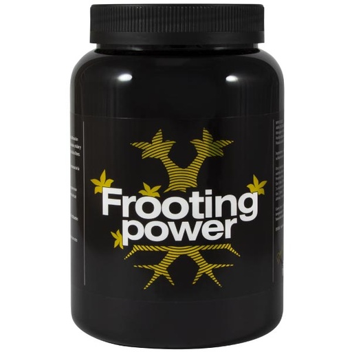 [BAC029] BAC -  FROOTING POWER 1KG