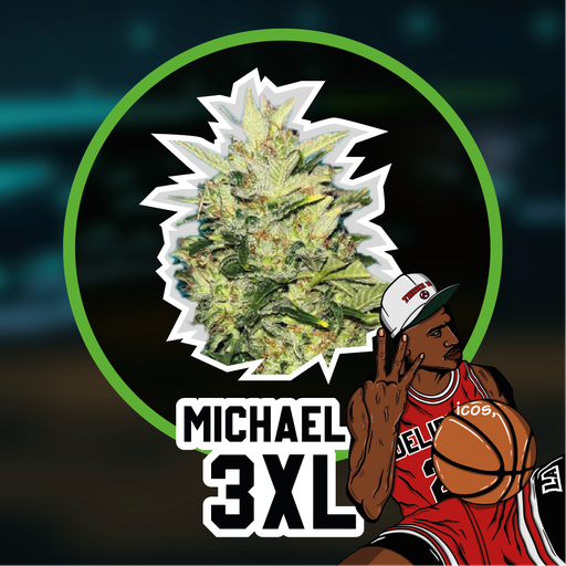 [DLS007] DELIRIUM SEEDS  - MICHAEL D 3XL AUTO X4