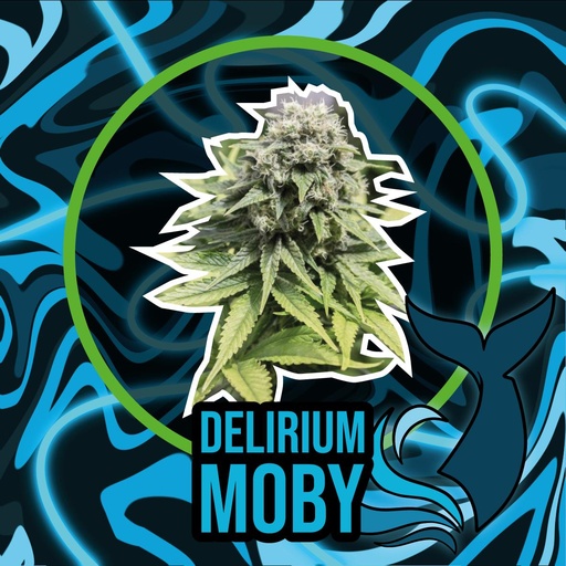 [DLS022] DELIRIUM SEEDS  - DELIRIUM MOBY FAST VERSION X4